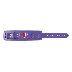 Fitness Accessories