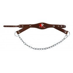 Fitness Accessories