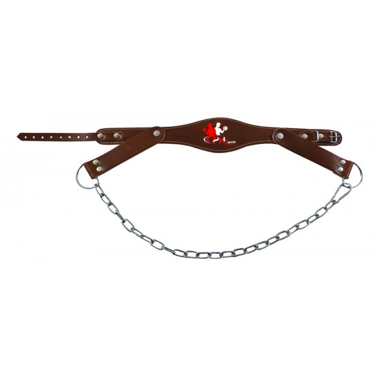 Fitness Accessories