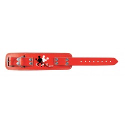 Fitness Accessories