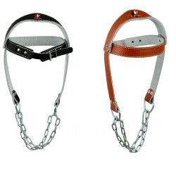 Fitness Accessories