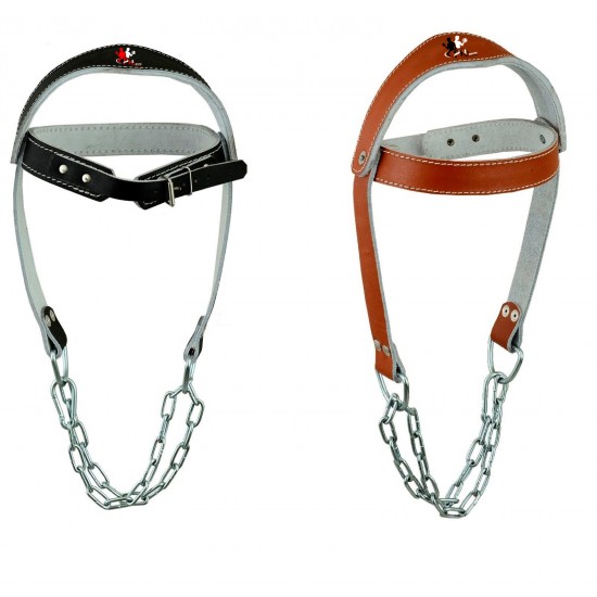 Fitness Accessories