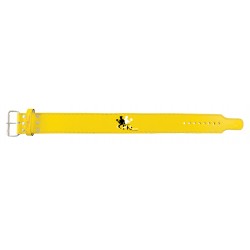 Power Lifting Power Belts