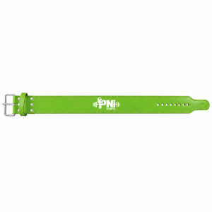 Power Lifting Power Belts
