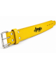 Power Lifting Power Belts