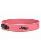 Power Lifting Lever Belts